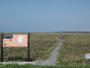 「メグマ沼自然公園」